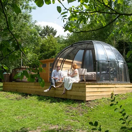 Bulle Insolite